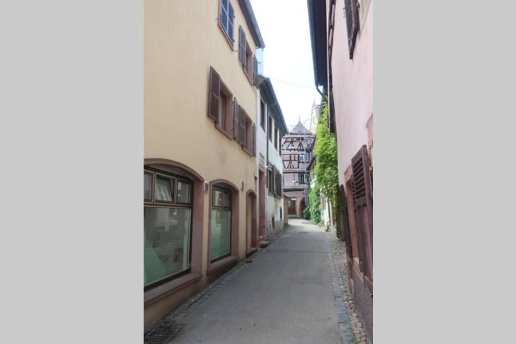 Chey Mybam, Agreable Maison Au Centre De Selestat Sélestat Exterior foto