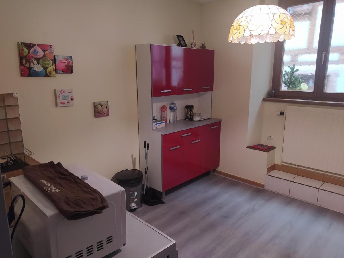 Chey Mybam, Agreable Maison Au Centre De Selestat Sélestat Exterior foto